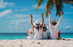 sundarban tour and travel